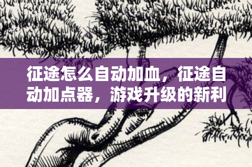 征途怎么自动加血，征途自动加点器，游戏升级的新利器