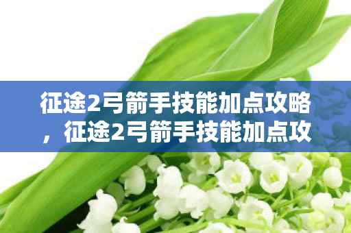 征途2弓箭手技能加点攻略,征途2弓箭手技能加点攻略 征途2弓箭手技能加点攻略,征途2弓箭手技能加点攻略