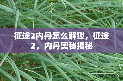 征途2内丹怎么解锁,征途2,内丹奥秘揭秘 征途2内丹怎么解锁,征途2,内丹奥秘揭秘