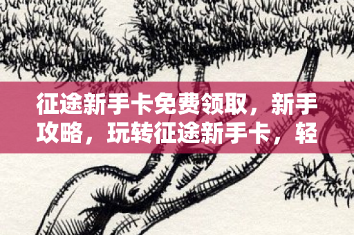 征途新手卡免费领取,新手攻略,玩转征途新手卡,轻松启程游戏之旅 征途新手卡免费领取,新手攻略,玩转征途新手卡,轻松启程游戏之旅