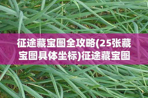 征途藏宝图全攻略(25张藏宝图具体坐标)征途藏宝图坐标，探寻未知的神秘宝藏