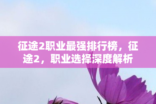 征途2职业最强排行榜,征途2,职业选择深度解析 征途2职业最强排行榜,征途2,职业选择深度解析