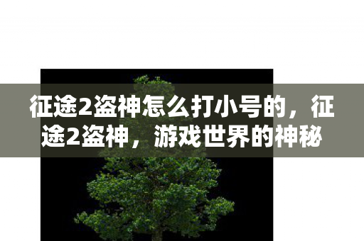 征途2盗神怎么打小号的，征途2盗神，游戏世界的神秘魅力与挑战