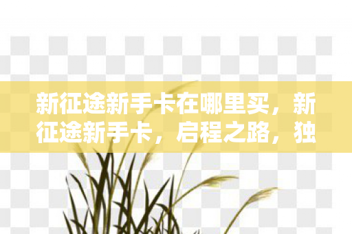 新征途新手卡在哪里买，新征途新手卡，启程之路，独家攻略助你轻松玩转游戏！