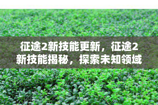 征途2新技能更新,征途2新技能揭秘,探索未知领域,挑战全新自我 征途2新技能更新,征途2新技能揭秘,探索未知领域,挑战全新自我