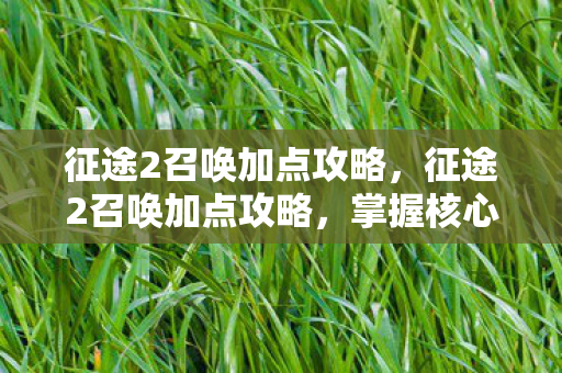 征途2召唤加点攻略,征途2召唤加点攻略,掌握核心技能,轻松提升战力 征途2召唤加点攻略,征途2召唤加点攻略,掌握核心技能,轻松提升战力