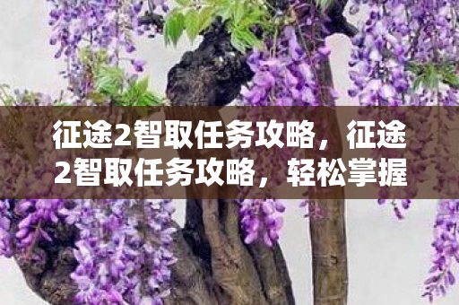 征途2智取任务攻略,征途2智取任务攻略,轻松掌握任务流程,智勇双全赢取丰厚奖励 征途2智取任务攻略,征途2智取任务攻略,轻松掌握任务流程,智勇双全赢取丰厚奖励