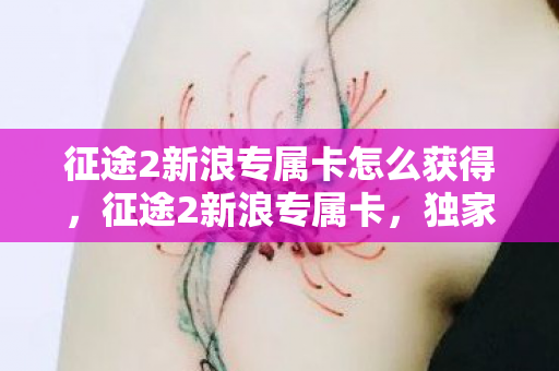 征途2新浪专属卡怎么获得,征途2新浪专属卡,独家特权,引领游戏新纪元 征途2新浪专属卡怎么获得,征途2新浪专属卡,独家特权,引领游戏新纪元