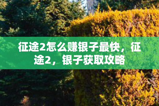 征途2怎么赚银子最快,征途2,银子获取攻略 征途2怎么赚银子最快,征途2,银子获取攻略