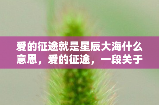 爱的征途就是星辰大海什么意思,爱的征途,一段关于陪伴与成长的旅程 爱的征途就是星辰大海什么意思,爱的征途,一段关于陪伴与成长的旅程