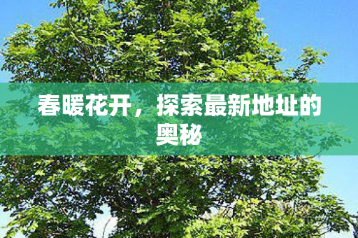 春暖花开，探索最新地址的奥秘