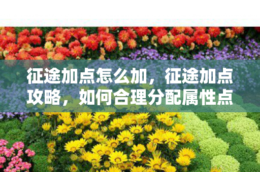 征途加点怎么加，征途加点攻略，如何合理分配属性点，提升角色实力？