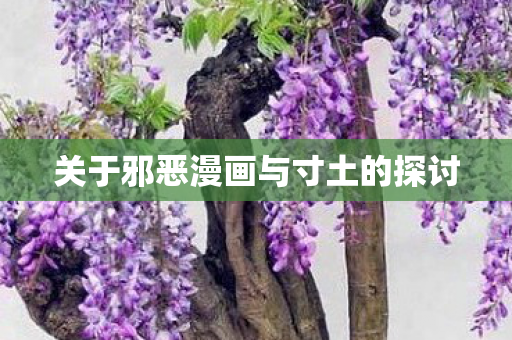 关于邪恶漫画与寸土的探讨