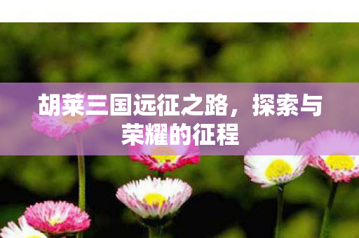 胡莱三国远征之路，探索与荣耀的征程