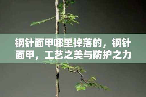 钢针面甲哪里掉落的，钢针面甲，工艺之美与防护之力