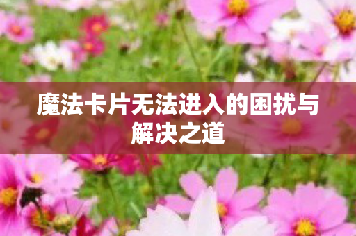 魔法卡片无法进入的困扰与解决之道