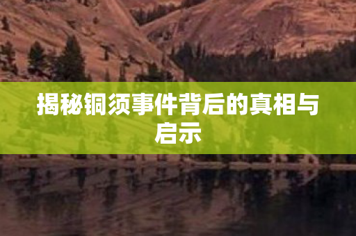揭秘铜须事件背后的真相与启示 揭秘铜须事件背后的真相与启示