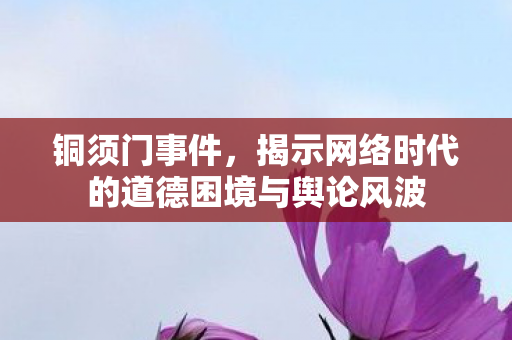 铜须门事件,揭示网络时代的道德困境与舆论风波 铜须门事件,揭示网络时代的道德困境与舆论风波