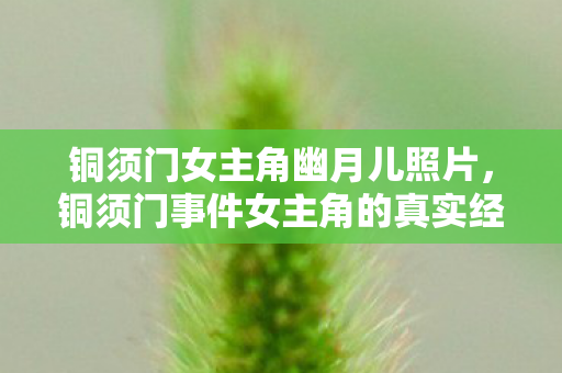 铜须门女主角幽月儿照片，铜须门事件女主角的真实经历与思考