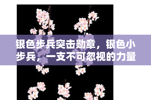 银色步兵突击勋章，银色小步兵，一支不可忽视的力量