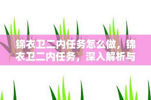 锦衣卫二内任务怎么做，锦衣卫二内任务，深入解析与应对之道