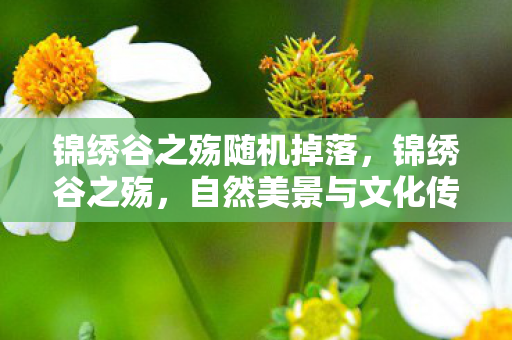 锦绣谷之殇随机掉落，锦绣谷之殇，自然美景与文化传承的失落