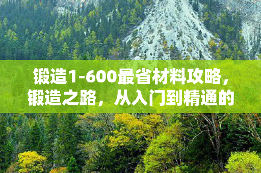 锻造1-600最省材料攻略，锻造之路，从入门到精通的1-600级成长之旅