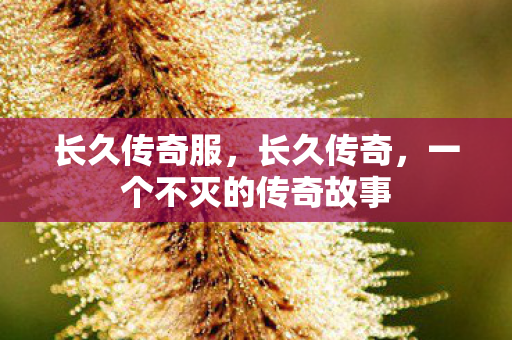 长久传奇服，长久传奇，一个不灭的传奇故事