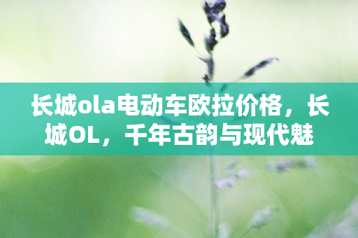 长城ola电动车欧拉价格，长城OL，千年古韵与现代魅力的交融