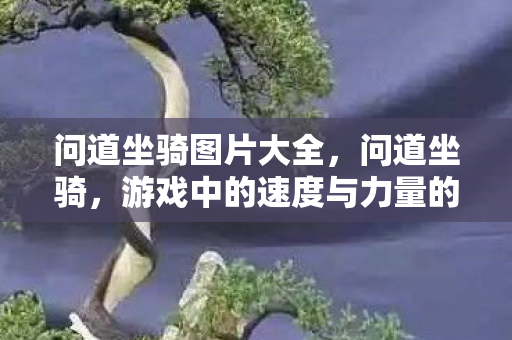 问道坐骑图片大全，问道坐骑，游戏中的速度与力量的完美结合