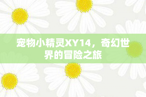 宠物小精灵XY14，奇幻世界的冒险之旅