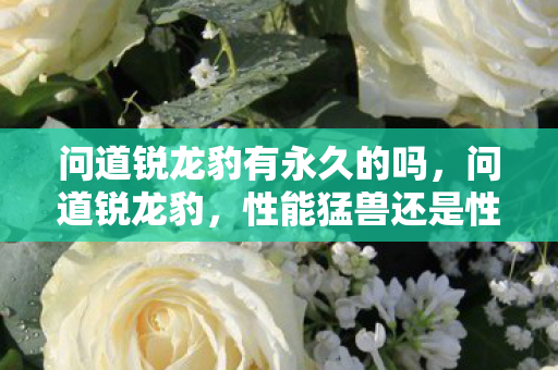 问道锐龙豹有永久的吗,问道锐龙豹,性能猛兽还是性价比之选? 问道锐龙豹有永久的吗,问道锐龙豹,性能猛兽还是性价比之选?