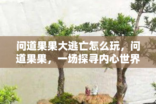 问道果果大逃亡怎么玩，问道果果，一场探寻内心世界的旅程