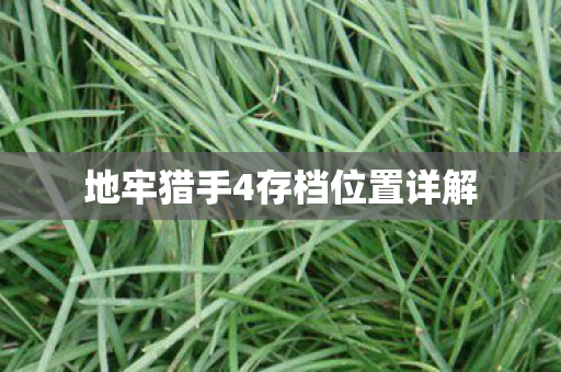 地牢猎手4存档位置详解