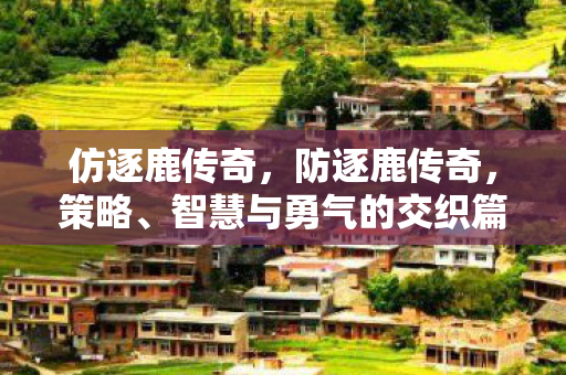 仿逐鹿传奇，防逐鹿传奇，策略、智慧与勇气的交织篇章