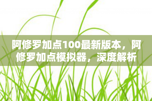 阿修罗加点100最新版本，阿修罗加点模拟器，深度解析与实战指南