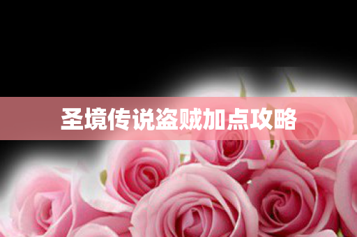 圣境传说盗贼加点攻略