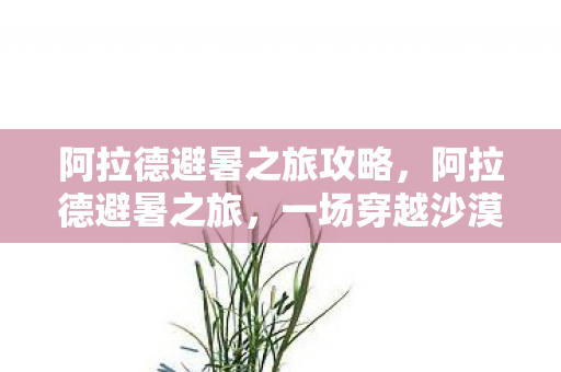 阿拉德避暑之旅攻略，阿拉德避暑之旅，一场穿越沙漠的清凉之旅