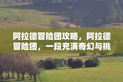 阿拉德冒险团攻略，阿拉德冒险团，一段充满奇幻与挑战的史诗之旅