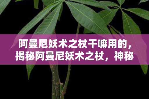 阿曼尼妖术之杖干嘛用的，揭秘阿曼尼妖术之杖，神秘力量的背后真相
