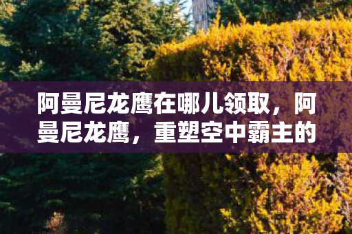 阿曼尼龙鹰在哪儿领取，阿曼尼龙鹰，重塑空中霸主的传奇