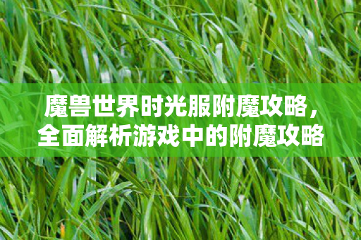 魔兽世界时光服附魔攻略，全面解析游戏中的附魔攻略，提升装备实力，轻松战胜敌人！