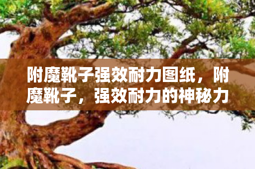 附魔靴子强效耐力图纸,附魔靴子,强效耐力的神秘力量 附魔靴子强效耐力图纸,附魔靴子,强效耐力的神秘力量