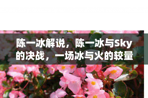 陈一冰解说,陈一冰与Sky的决战,一场冰与火的较量 陈一冰解说,陈一冰与Sky的决战,一场冰与火的较量