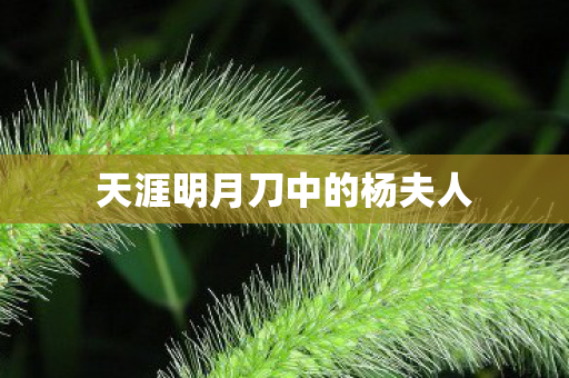 天涯明月刀中的杨夫人