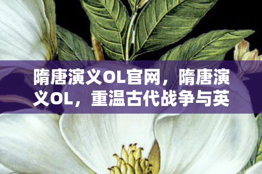 隋唐演义OL官网,隋唐演义OL,重温古代战争与英雄传奇 隋唐演义OL官网,隋唐演义OL,重温古代战争与英雄传奇