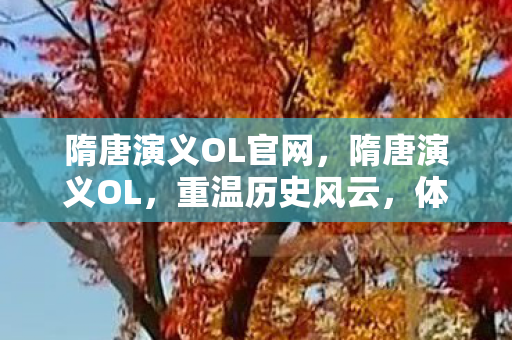 隋唐演义OL官网,隋唐演义OL,重温历史风云,体验独特游戏魅力 隋唐演义OL官网,隋唐演义OL,重温历史风云,体验独特游戏魅力