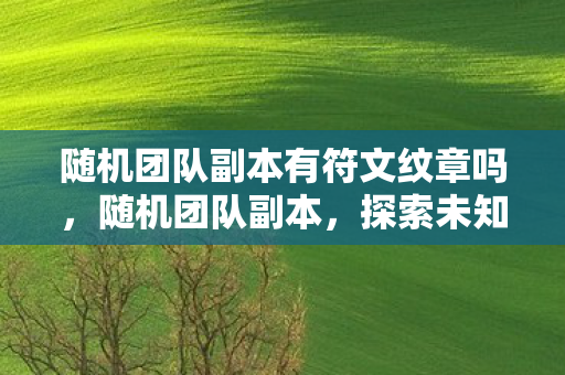 随机团队副本有符文纹章吗，随机团队副本，探索未知的挑战之旅