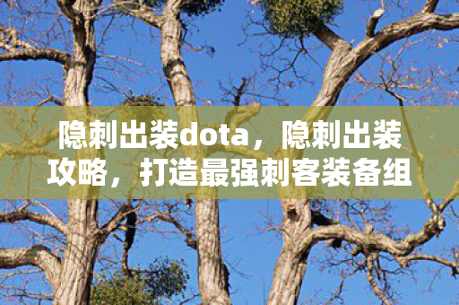 隐刺出装dota，隐刺出装攻略，打造最强刺客装备组合