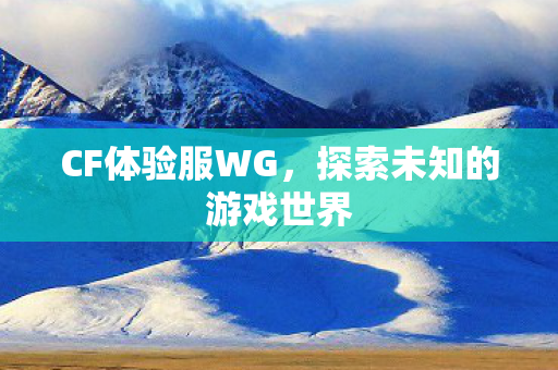 CF体验服WG，探索未知的游戏世界
